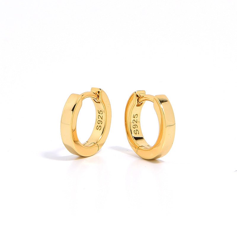 S925 Gold - Plated Sandblasted CZ Hoop Earrings - floysun