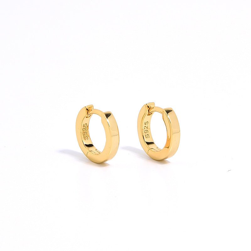 S925 Gold - Plated Sandblasted CZ Hoop Earrings - floysun
