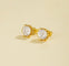 Shimmering Cubic Zirconia Stud Earrings - floysun