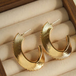 Stellar C - Shape Pavé Zirconia Earrings - floysun