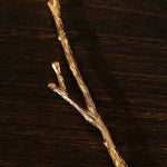 Vintage Gilded Branch Brooch - floysun