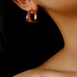 Vintage Leopard - Pattern Tiger’s Eye Hoop Earrings - floysun