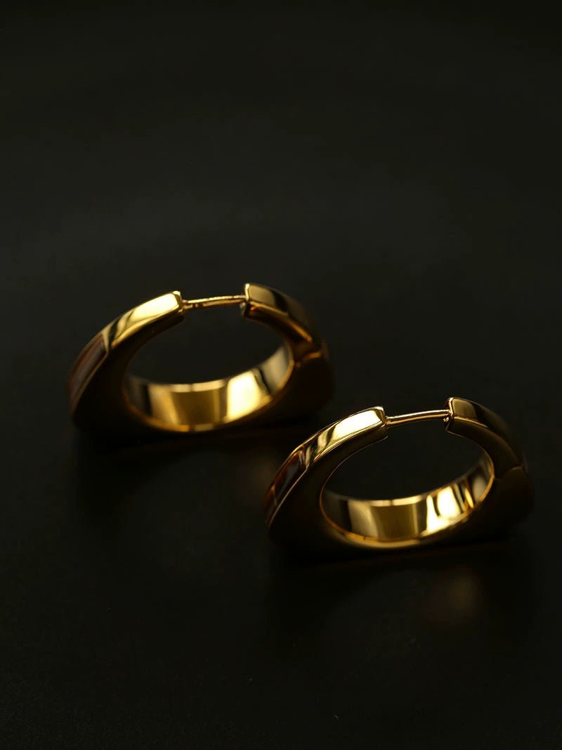 Vintage Leopard - Pattern Tiger’s Eye Hoop Earrings - floysun