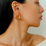Vintage Leopard - Pattern Tiger’s Eye Hoop Earrings - floysun