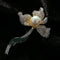 Vintage Nature-Inspired Pearl & CZ Statement Brooches – 9 Styles - floysun