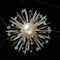 Vintage Nature-Inspired Pearl & CZ Statement Brooches – 9 Styles - floysun