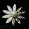Vintage Pearl & Mother-of-Pearl Statement Brooches – 7 Styles - floysun