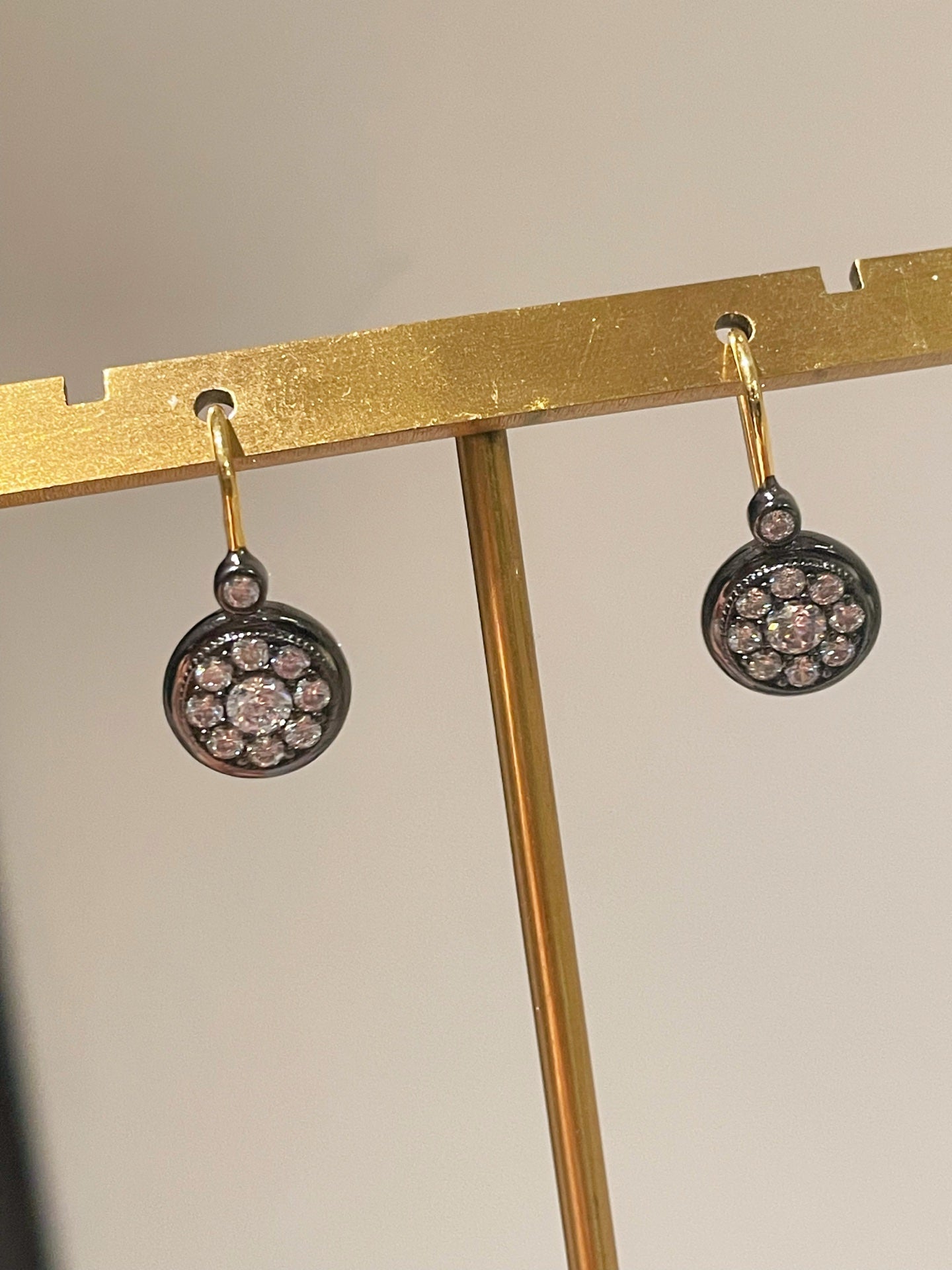 “Wealth & Fortune” Full - Pave Coin Hook Earrings - floysun