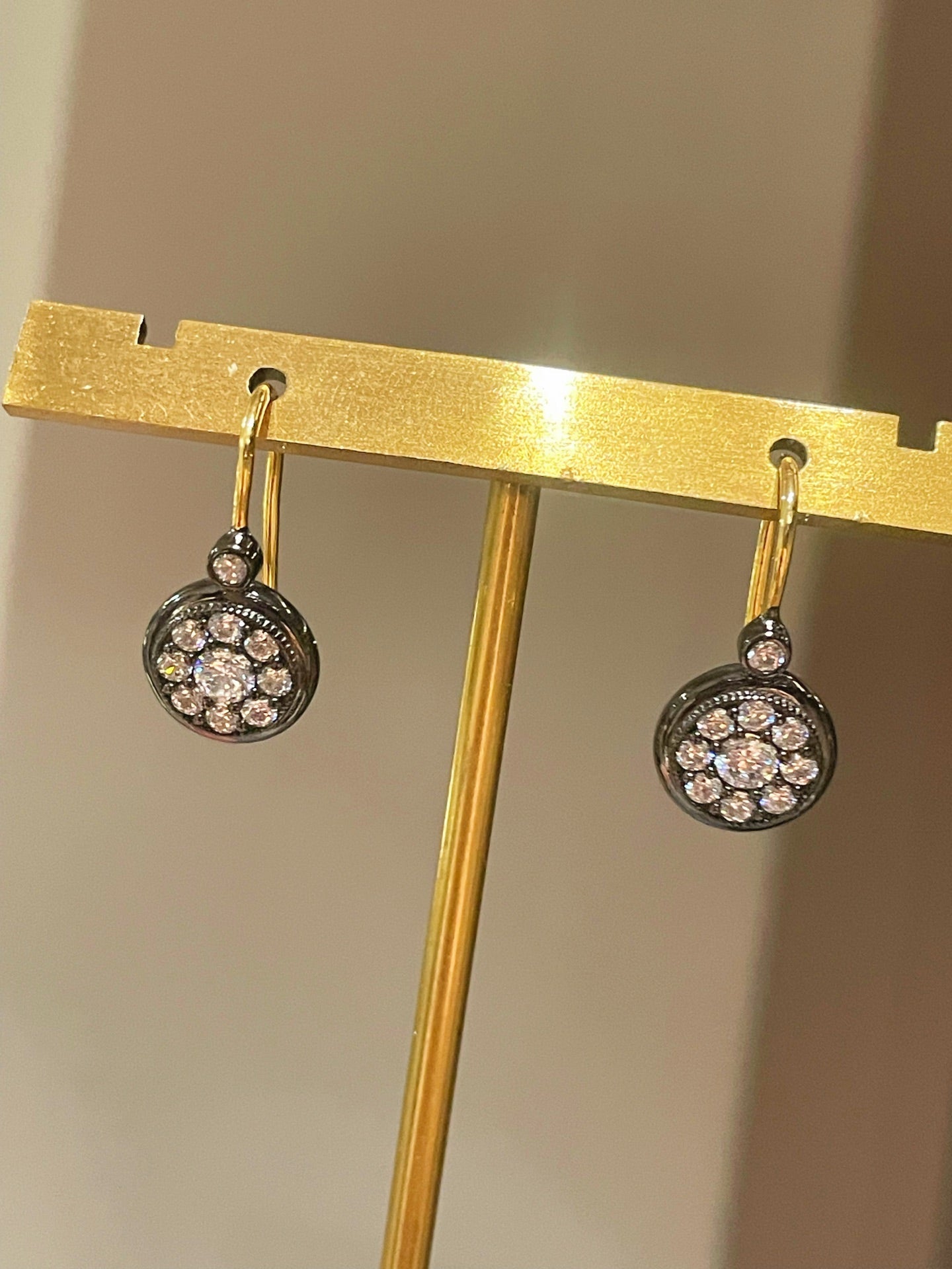 “Wealth & Fortune” Full - Pave Coin Hook Earrings - floysun