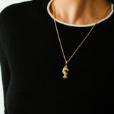 Year of the Horse Knight Pendant Necklace - floysun