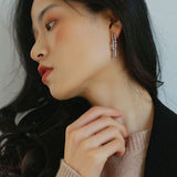 Horseshoe Buckle Long Chain Earrings