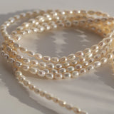 Retro Baroque Pearl Sweater Chain Necklace