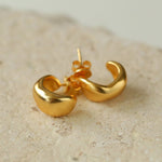 S925 Silver C-shaped Frosted Earrings - floysun