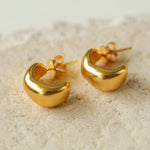 S925 Silver C-shaped Frosted Earrings - floysun